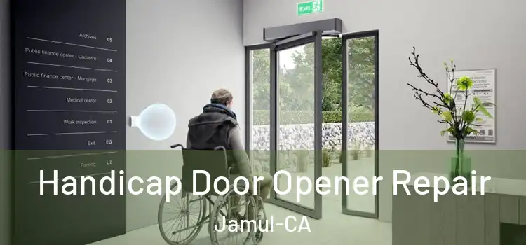  Handicap Door Opener Repair Jamul-CA