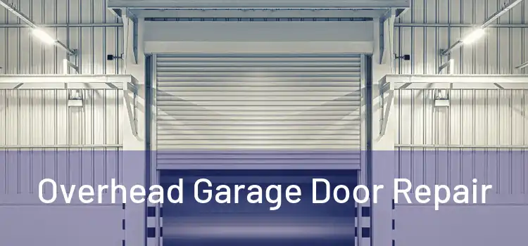  Overhead Garage Door Repair 