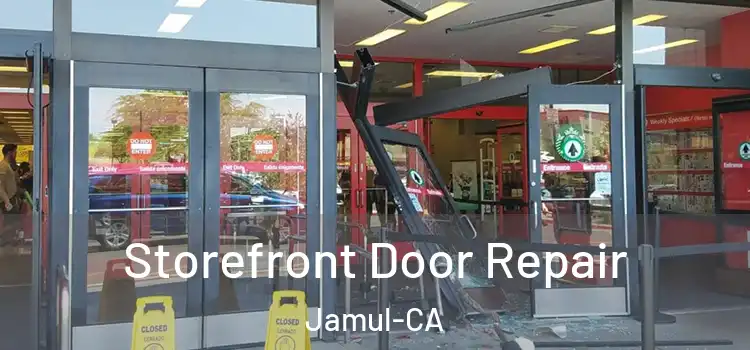  Storefront Door Repair Jamul-CA